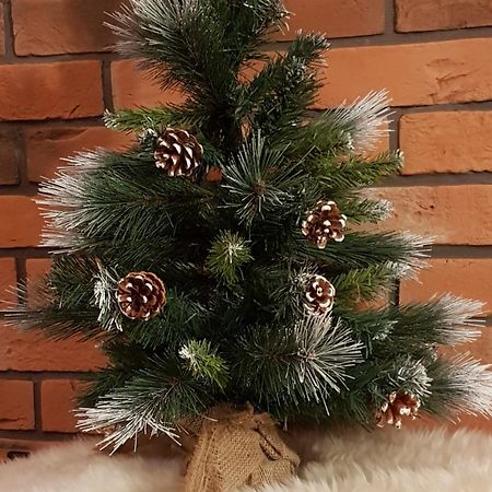 Apartamenty Bachledzki Wierch, Zakopane Dış mekan fotoğraf