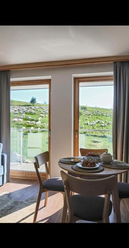 Apartamenty Bachledzki Wierch, Zakopane Dış mekan fotoğraf