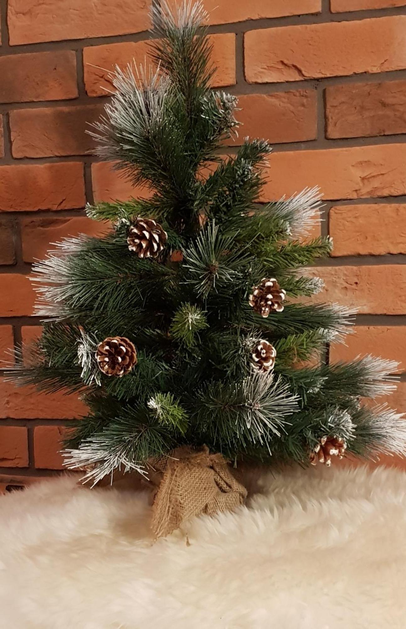 Apartamenty Bachledzki Wierch, Zakopane Dış mekan fotoğraf